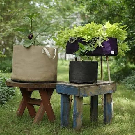 How-To: Choose the Right Size and Type of Pots - HydroPros