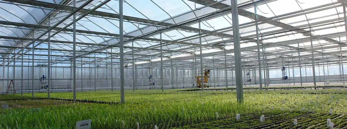 What Kind Of Ventilation Does Your Indoor Garden Need? - HydroPros