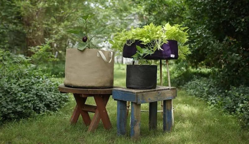 How-To: Choose the Right Size and Type of Pots - HydroPros