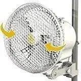 Monkey Fans Secret Jardin Monkey Fan Oscillating 8