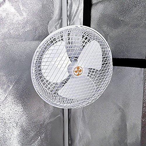 Monkey Fans Secret Jardin Monkey Fan Oscillating 8