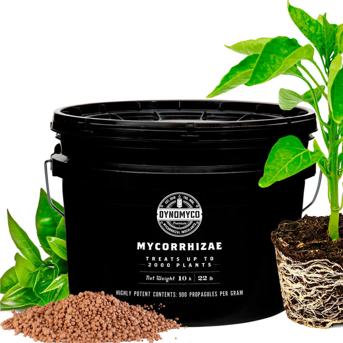 DynoMyco Premium Mycorrhizal Inoculant