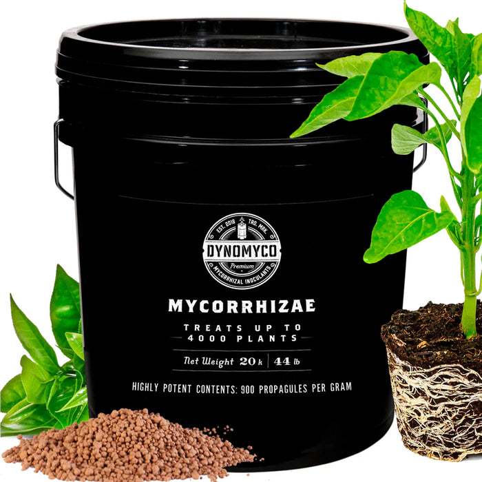 DynoMyco Premium Mycorrhizal Inoculant