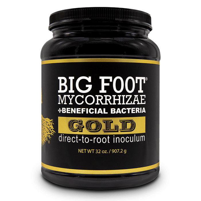 Big Foot Gold