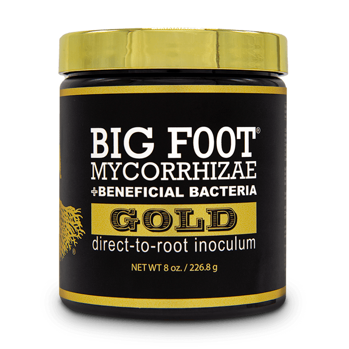 Big Foot Gold