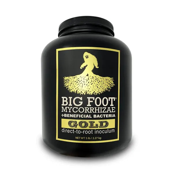 Big Foot Gold