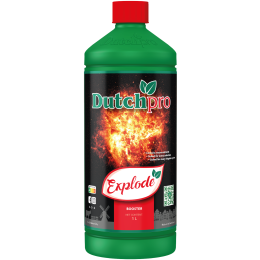 DutchPro Explode (Booster)