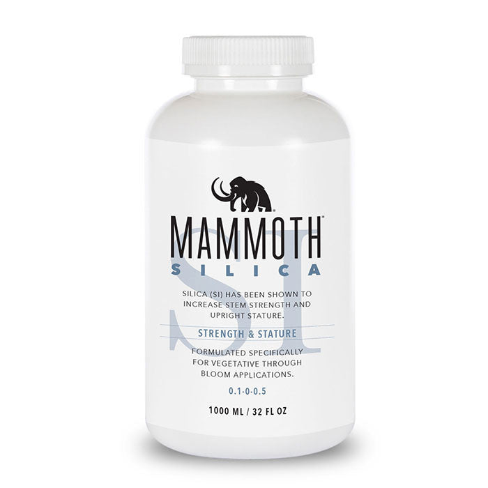 Mammoth Silica